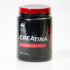 Creatina